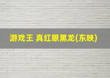 游戏王 真红眼黑龙(东映)